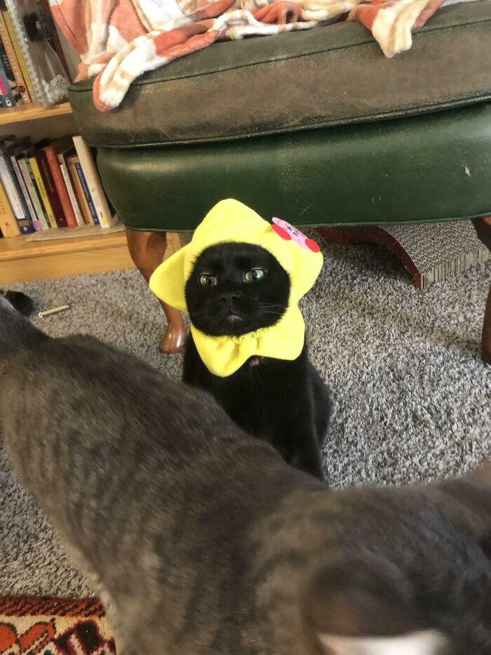 Zero Thoughts. Just Vibes