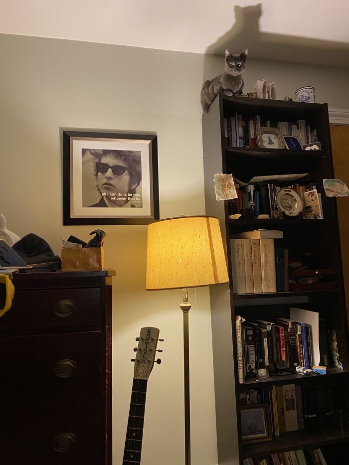 Se sienta ahí y te mira amenazante