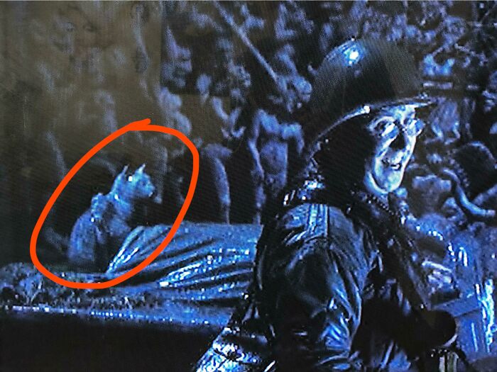 Hellboy (2004) Loves Cats Because That’s The First Thing That He Sees When; “He Pops Into The World”