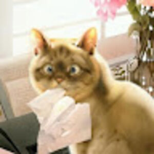 marloesnieuwenhuis avatar