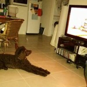 gillianhannah avatar