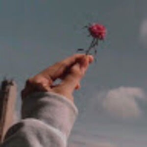 shraddhakrishnan avatar