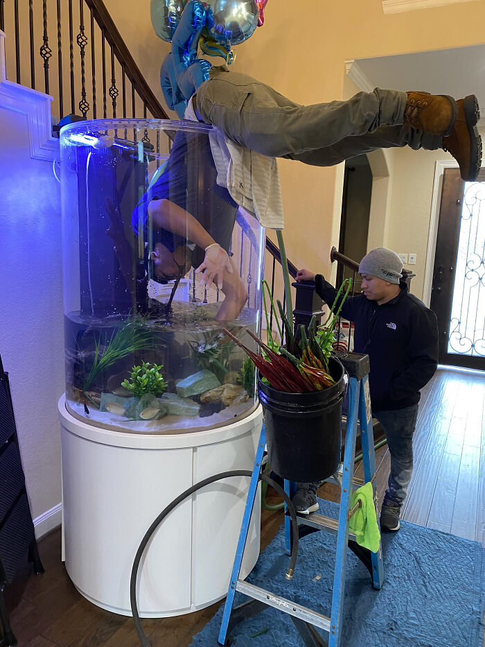 Creo que esto pertenece aquí