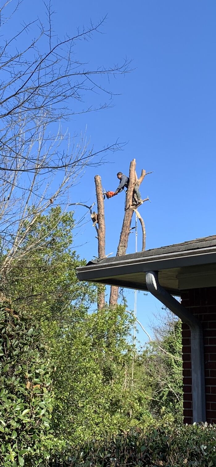 Revisa el seguro antes de contratar al contratista