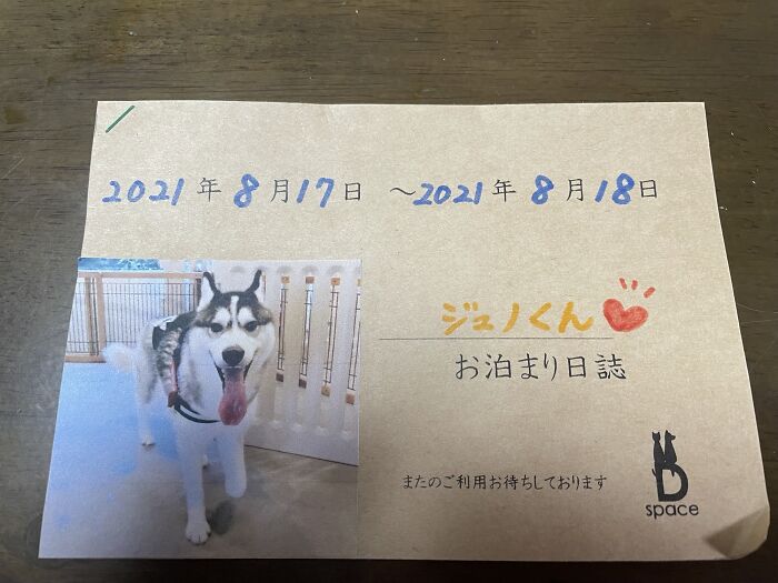 The Pet Hotel We Used Makes A Journal Of Your Pet's Stay To Give To You When You Pick Them Up