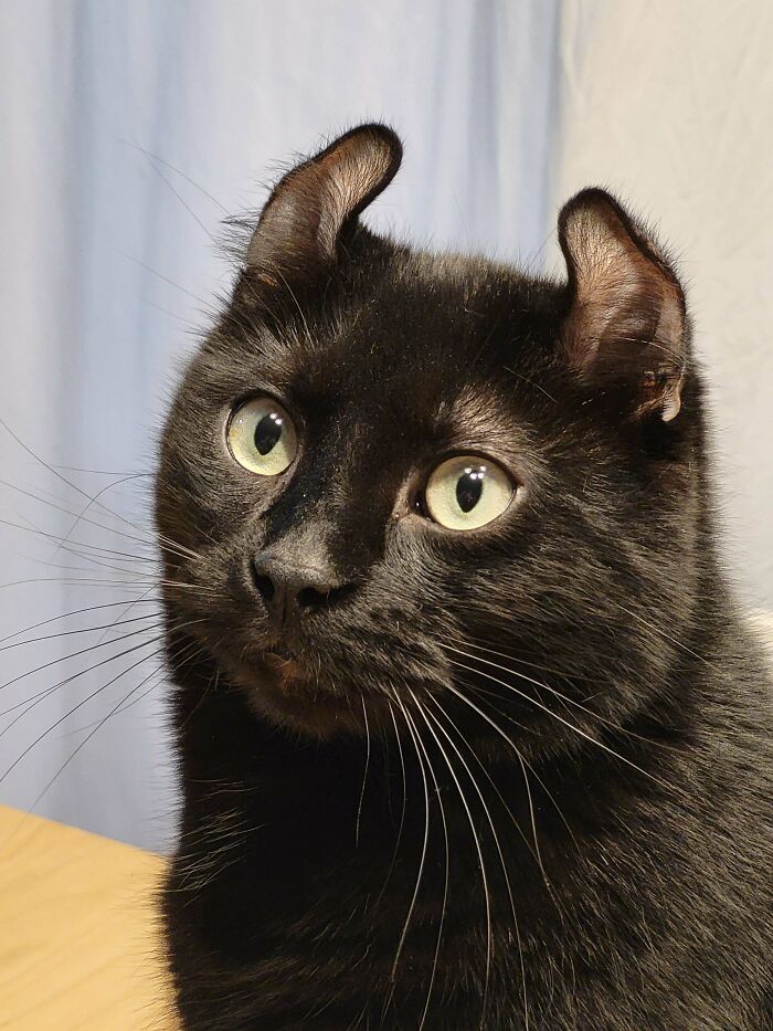 What Should I Name Her?