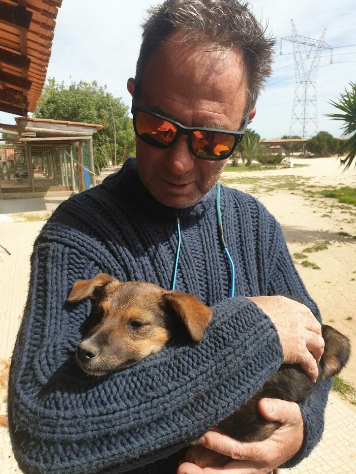 Just Got My First Doggo At The Age Of 57 - Already Smitten