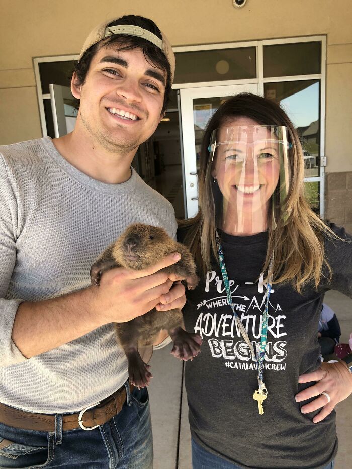 Rescaté a una cría de castor después de que una riada lo separara de sus padres