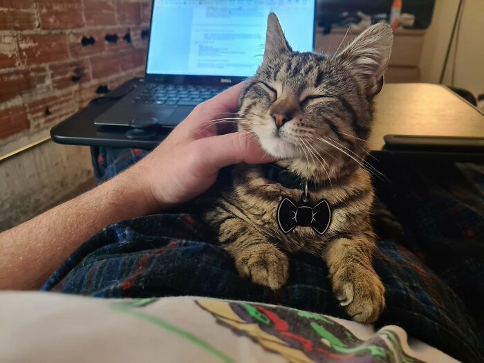 Feeling A Lot Better Since This Moocher Moved Into My Apartment