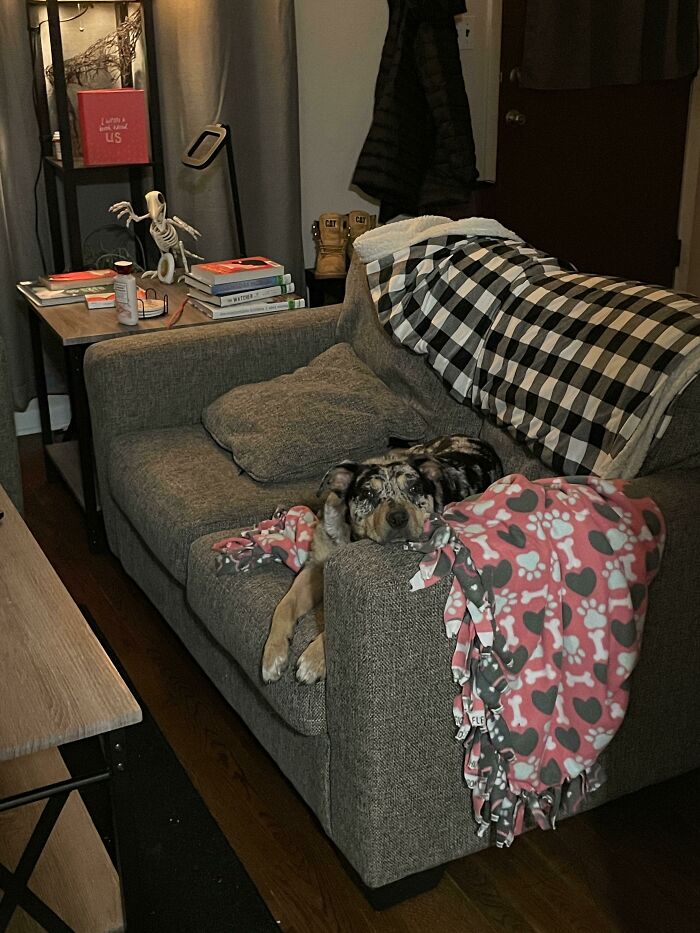 Rescued This Angel Last Night