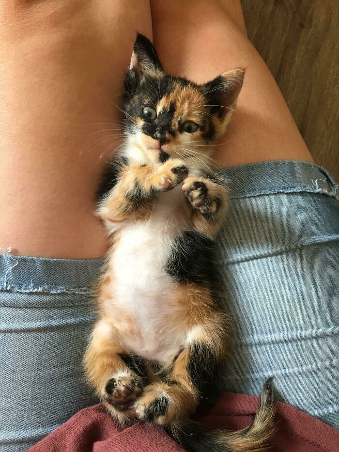 Some A**hole Dumped Her On The Side Of The Road. She’s Mine Now! Meet Dottie