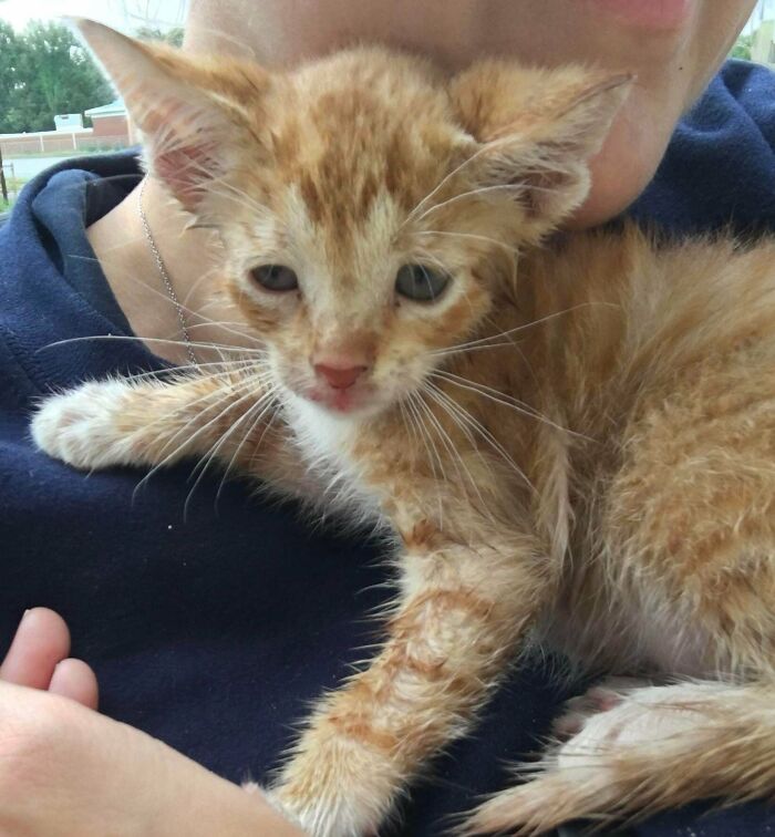 I Rescued Fred From The Middle Of A Rainy Highway. Thank You Universe For Letting Me Be In That Exact Place And Time !