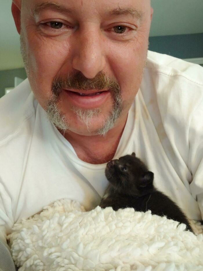 A Rescue. ...lot Of Work But She Is A Keeper