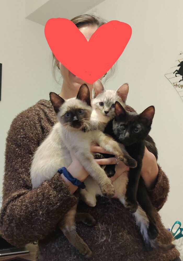 A Triple Adoption?!? 