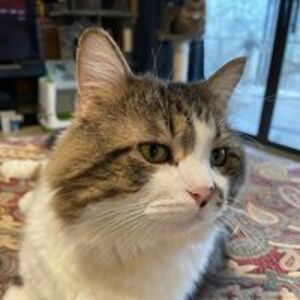 sharonbeck2016 avatar