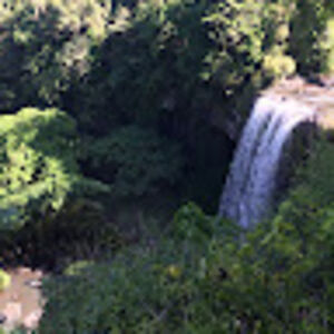 znatureboytom avatar