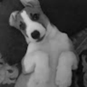 makgotsomahlangu avatar