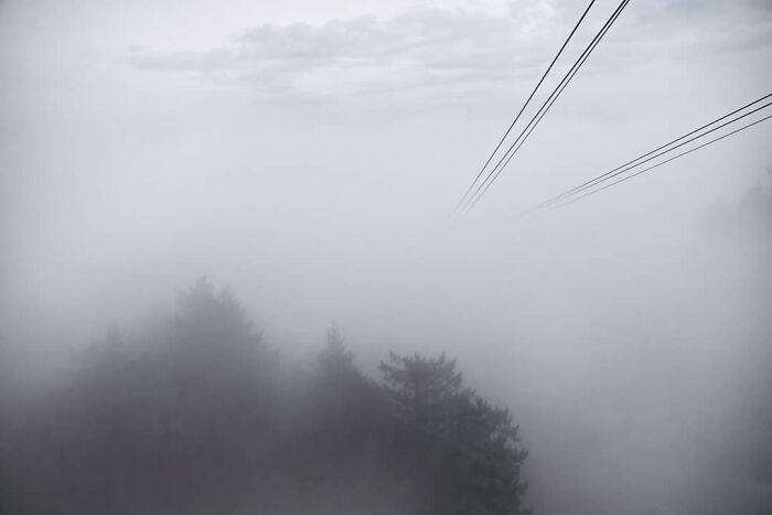 Such A Nice Day For Visiting Portland (Oregon) And Enjoy Its Incredible Scenery