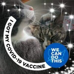 kathiweber1983 avatar