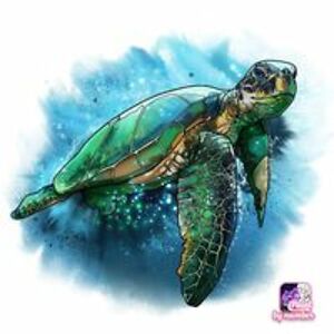 freshdaiquiri avatar