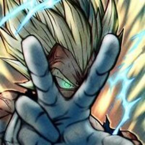 vegetaprincofsayans avatar