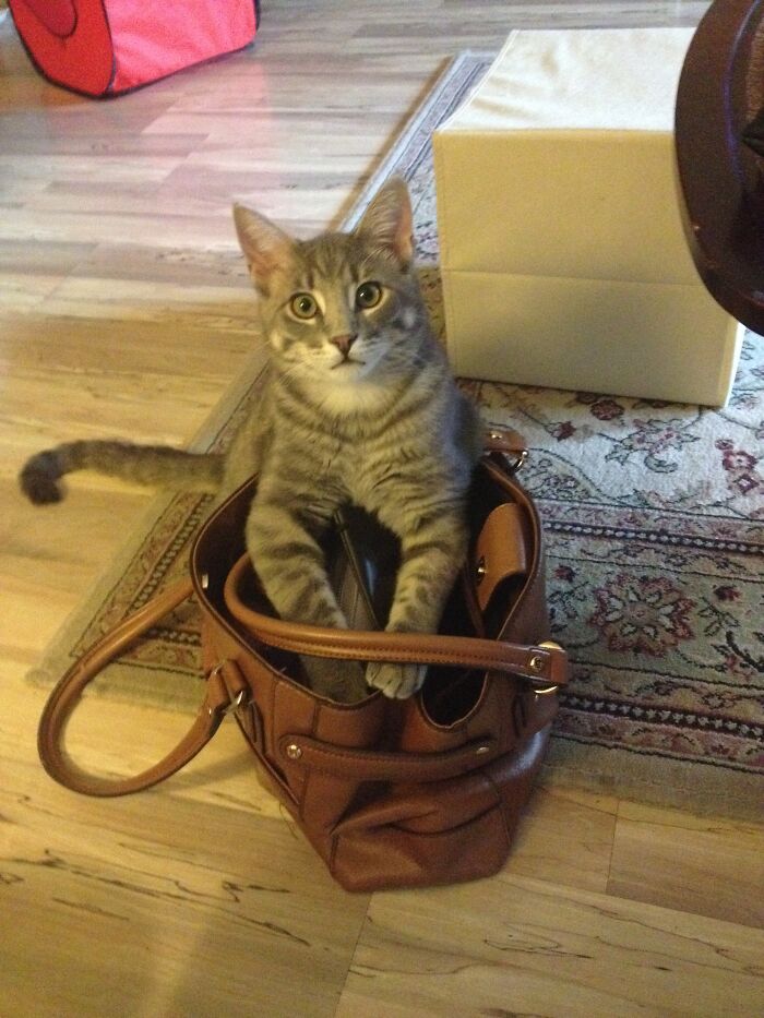 I’m Not Doing Anything!