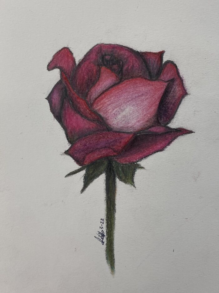 Okay Last One💀💀