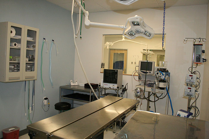 Men Online Share 30 Things They Kept To Themselves So Their Parents Would Never Find Out