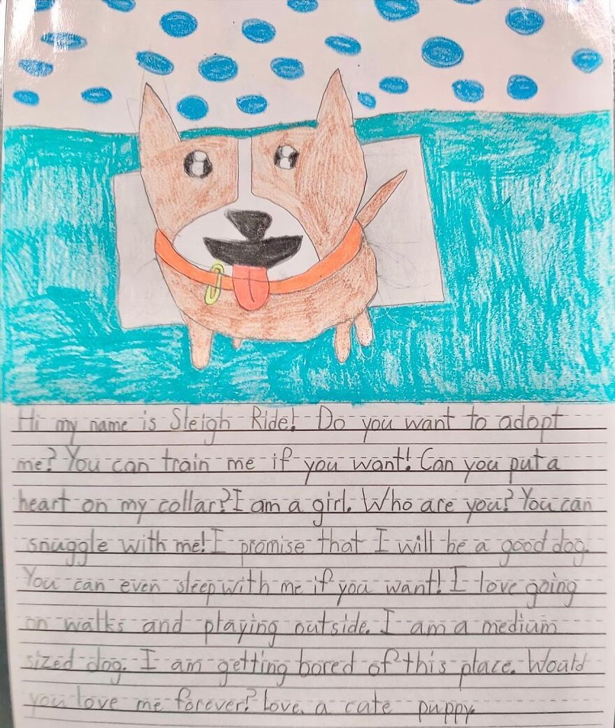 Second Graders Wrote Adorable Letters On Behalf Of Shelter Animals To Get Them Adopted, And It Worked