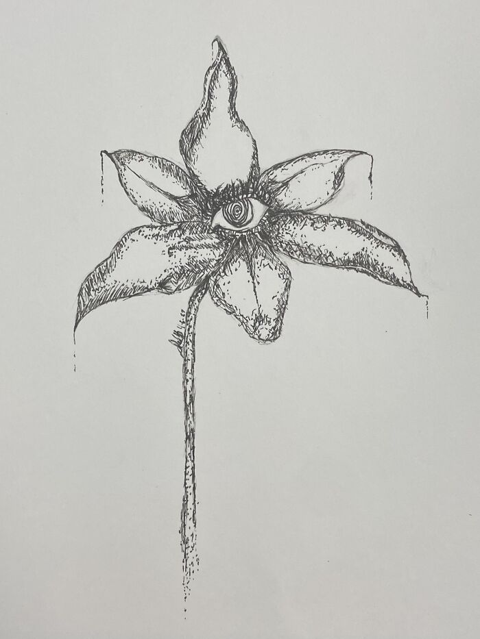 Can We Post Multiple Stuff??😅