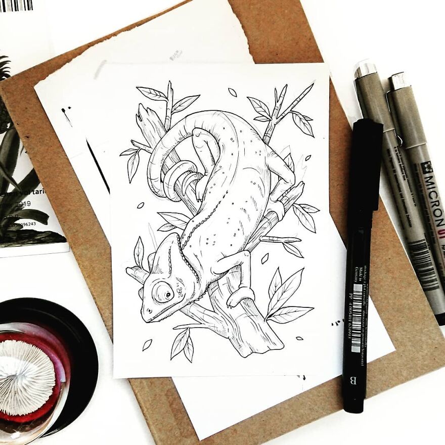 I Create Intricate Drawings Of Animals Embedded With Their Natural Habitats