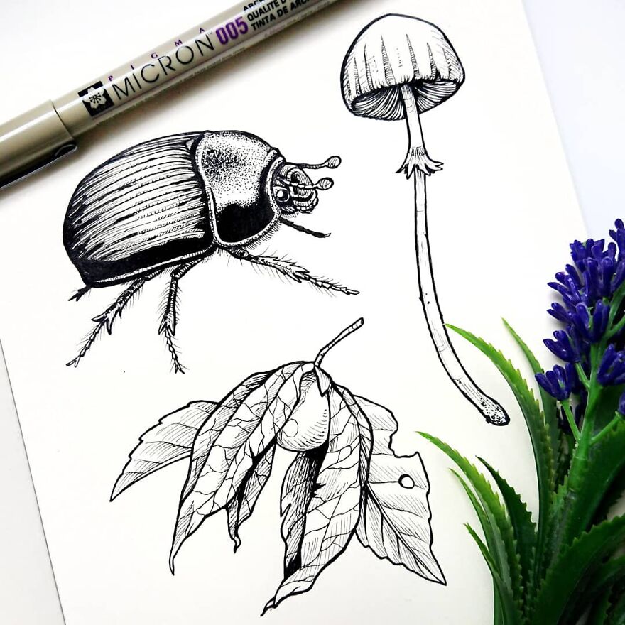 I Create Intricate Drawings Of Animals Embedded With Their Natural Habitats