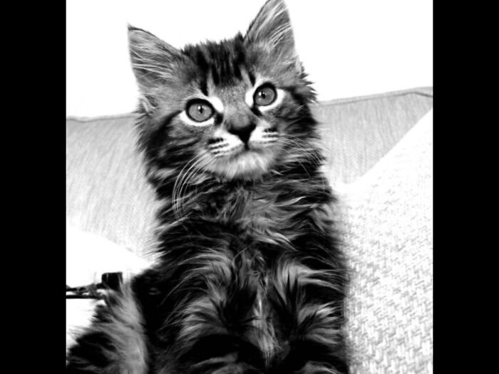 Taking In Her New World!