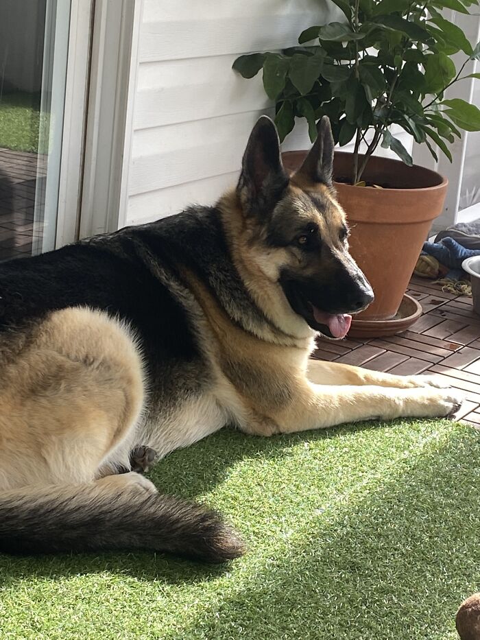 Big Baby Girl!! Well, Hello Dolly!!