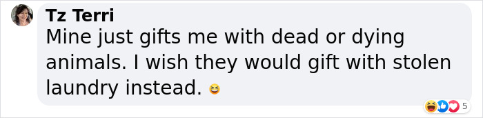 ‘Klepto Cat’ Steals So Many Items From Neighbors, The Family Had To Set Up A Reclamation Shelf ‘Klepto Cat’ Steals So Many Items From Neighbors, The Family Had To Set Up A Reclamation Shelf