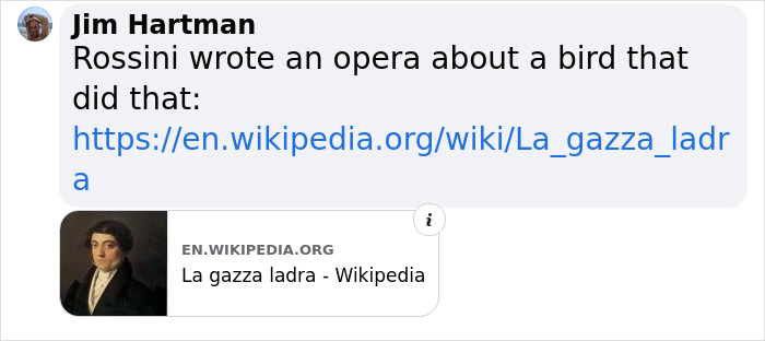 ‘Klepto Cat’ Steals So Many Items From Neighbors, The Family Had To Set Up A Reclamation Shelf ‘Klepto Cat’ Steals So Many Items From Neighbors, The Family Had To Set Up A Reclamation Shelf
