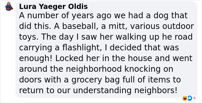 ‘Klepto Cat’ Steals So Many Items From Neighbors, The Family Had To Set Up A Reclamation Shelf ‘Klepto Cat’ Steals So Many Items From Neighbors, The Family Had To Set Up A Reclamation Shelf