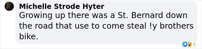 ‘Klepto Cat’ Steals So Many Items From Neighbors, The Family Had To Set Up A Reclamation Shelf ‘Klepto Cat’ Steals So Many Items From Neighbors, The Family Had To Set Up A Reclamation Shelf