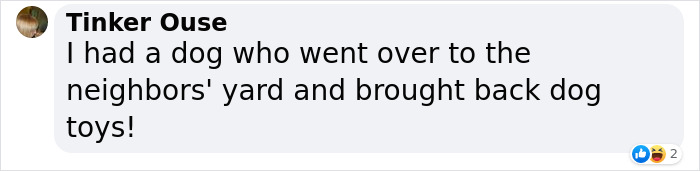 ‘Klepto Cat’ Steals So Many Items From Neighbors, The Family Had To Set Up A Reclamation Shelf ‘Klepto Cat’ Steals So Many Items From Neighbors, The Family Had To Set Up A Reclamation Shelf