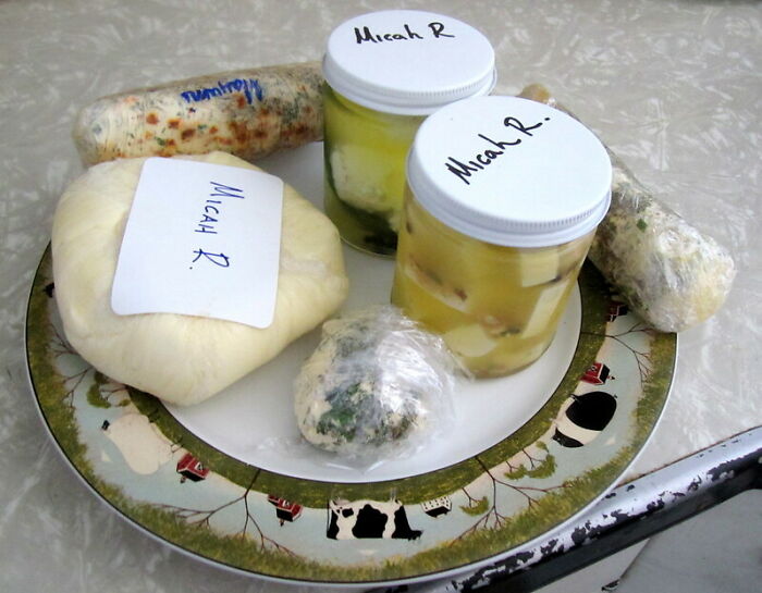 32 Folks Who Could Have Met Their End Due To Their Own Stupidity, As Shared Online