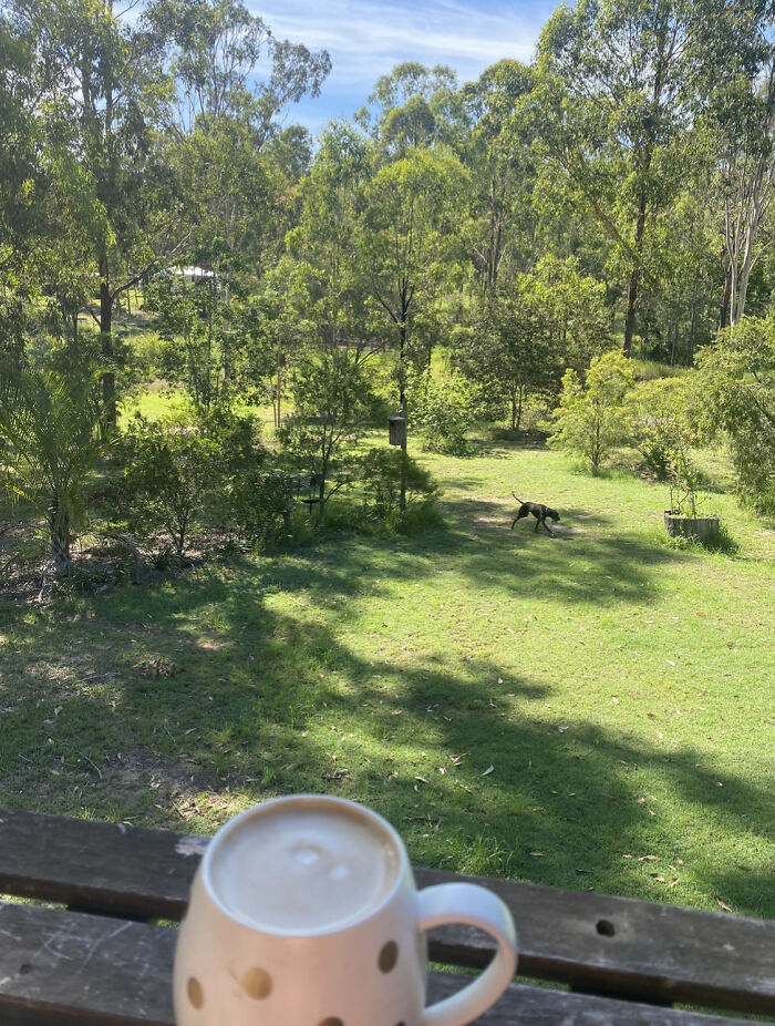 We Have A Acre It’s Very Pretty But It’s A Lot Of Work