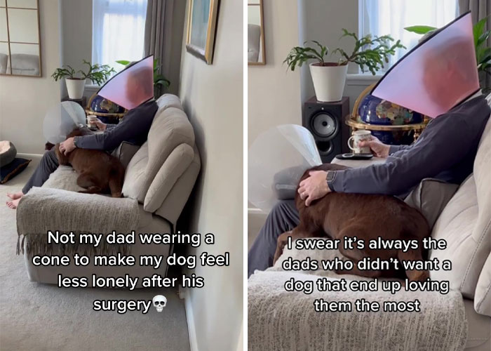 &ldquo;It&rsquo;s Always The Dads Who Didn&rsquo;t Want A Dog That End Up Loving Them The Most&rdquo;: Dad Wears An E Collar To Lift His Pup&rsquo;s Spirits After Surgery