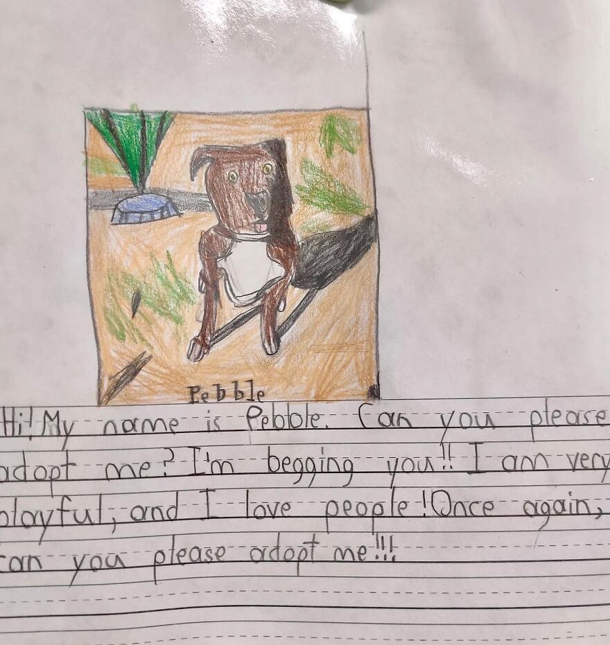 Second Graders Wrote Adorable Letters On Behalf Of Shelter Animals To Get Them Adopted, And It Worked