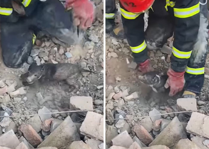 Ukrainian Policemen Pull Puppy Out Of Rubble And Return It To 77-Year-Old Owner Who&rsquo;d Lost Everything Else