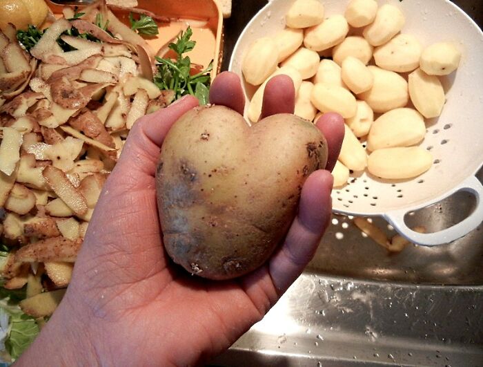 "¿Qué 'comida de pobres' seguirías comiendo sin importar lo rico que seas?": 22 Personas responden