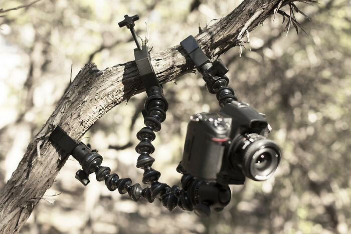 34 Wild, Unexpected Or Underwhelming Discoveries Made By Private Investigators, As Shared In This Online Group