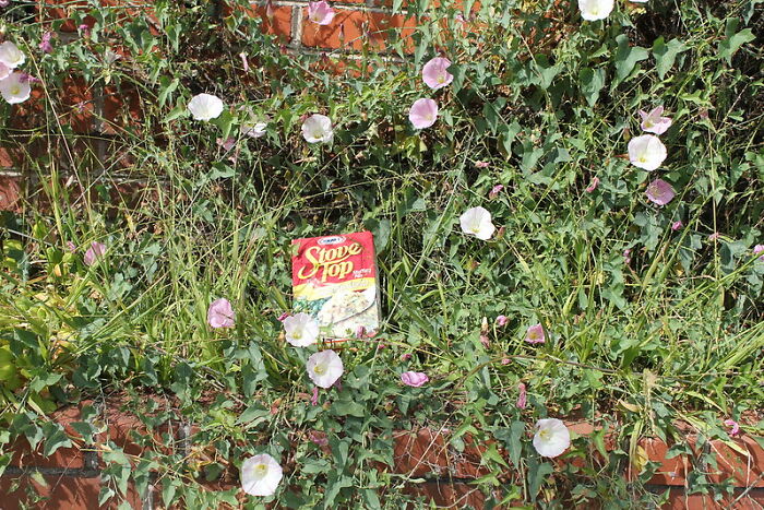 Someone Online Wondered: “What Is Some ‘Poor People Food’ That You Will Eat No Matter How Wealthy You Get?“, And 30 Folks Delivered