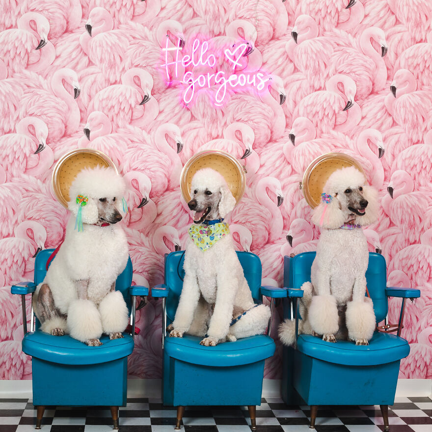 Blow Out Or Blow Up Social Media? These 3 Nailed The Assignment