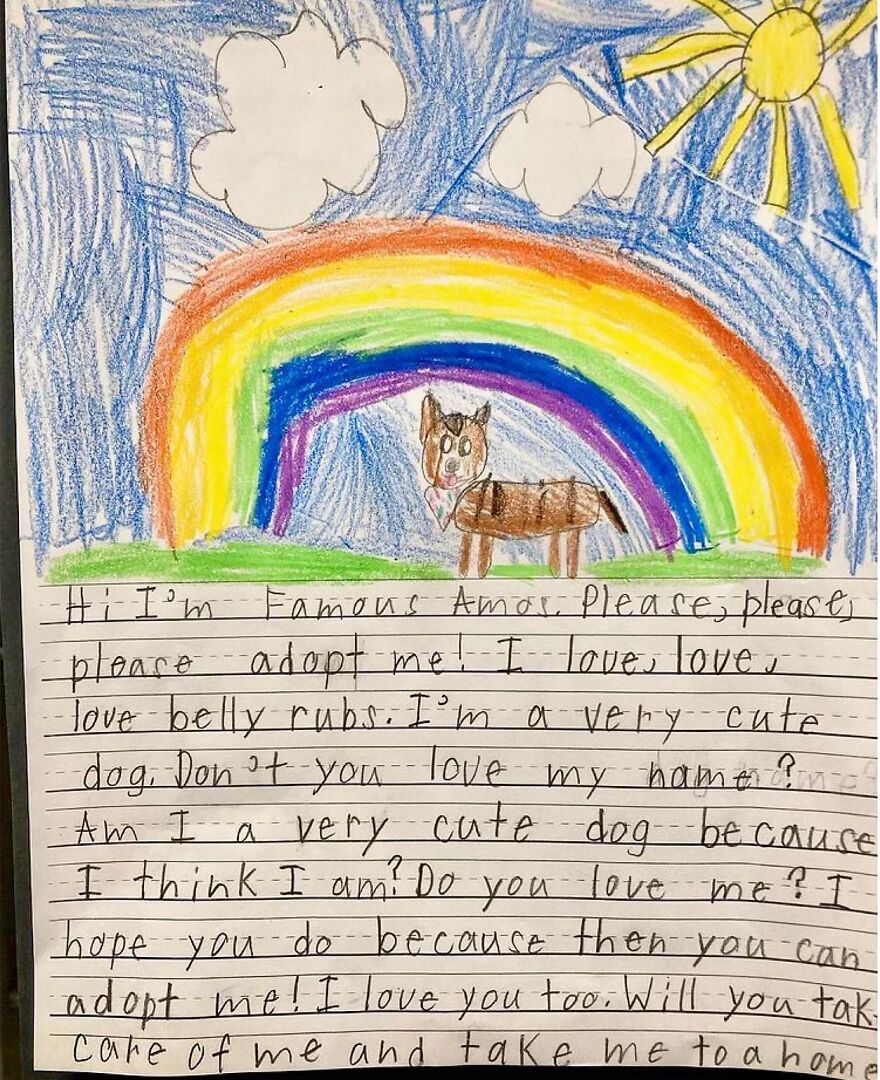 Second Graders Wrote Adorable Letters On Behalf Of Shelter Animals To Get Them Adopted, And It Worked