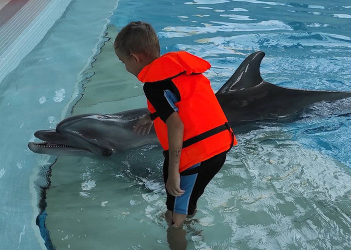 Video Shows Young Boy Stopping To Hug Two Stray Dogs When He Thinks No One Is Watching Video Shows Young Boy Stopping To Hug Two Stray Dogs When He Thinks No One Is Watching